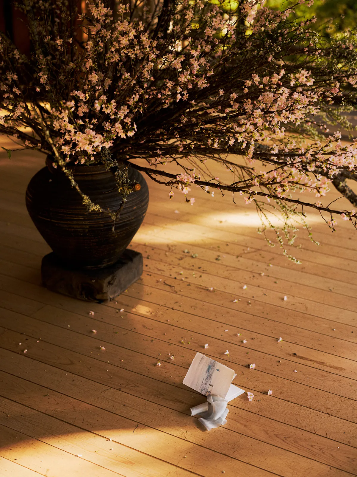 kyoto-12.jpg