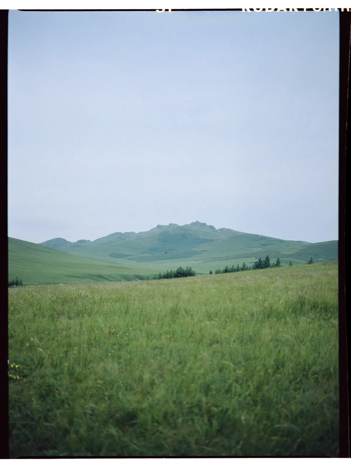 neimengol-47.jpg