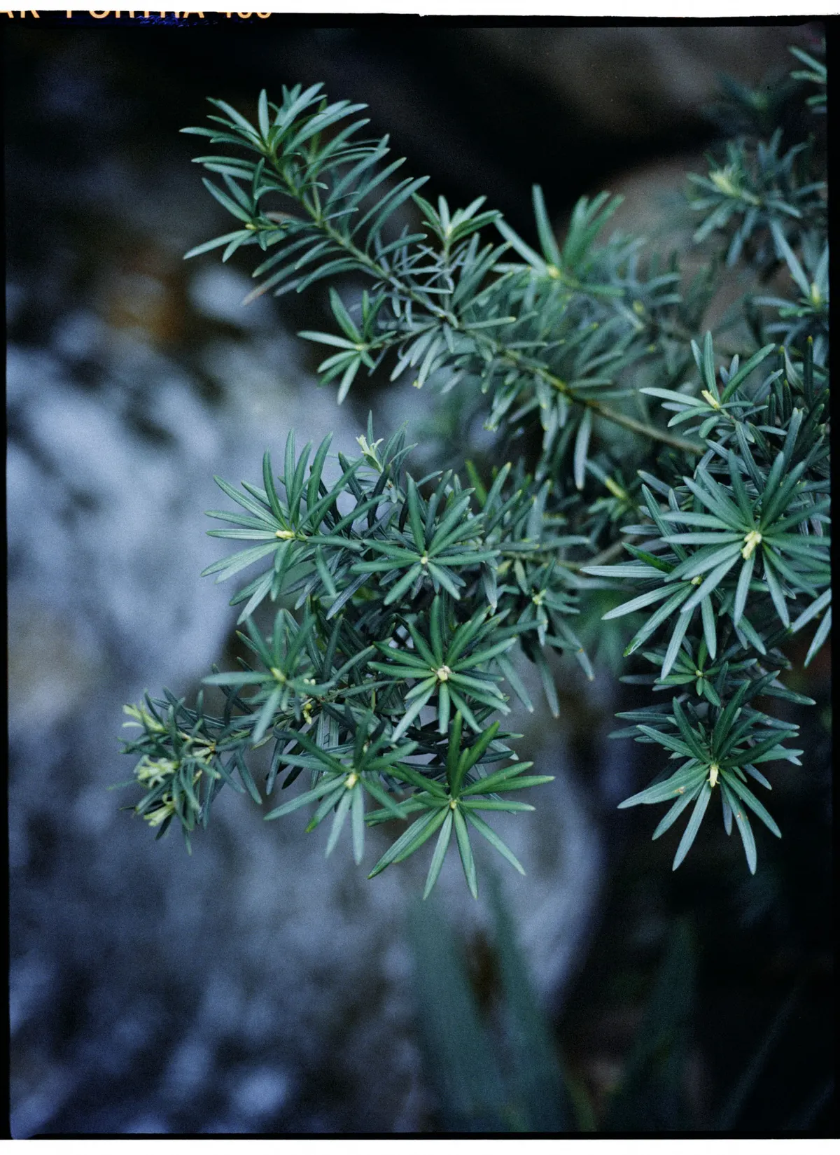 heping-15.jpg