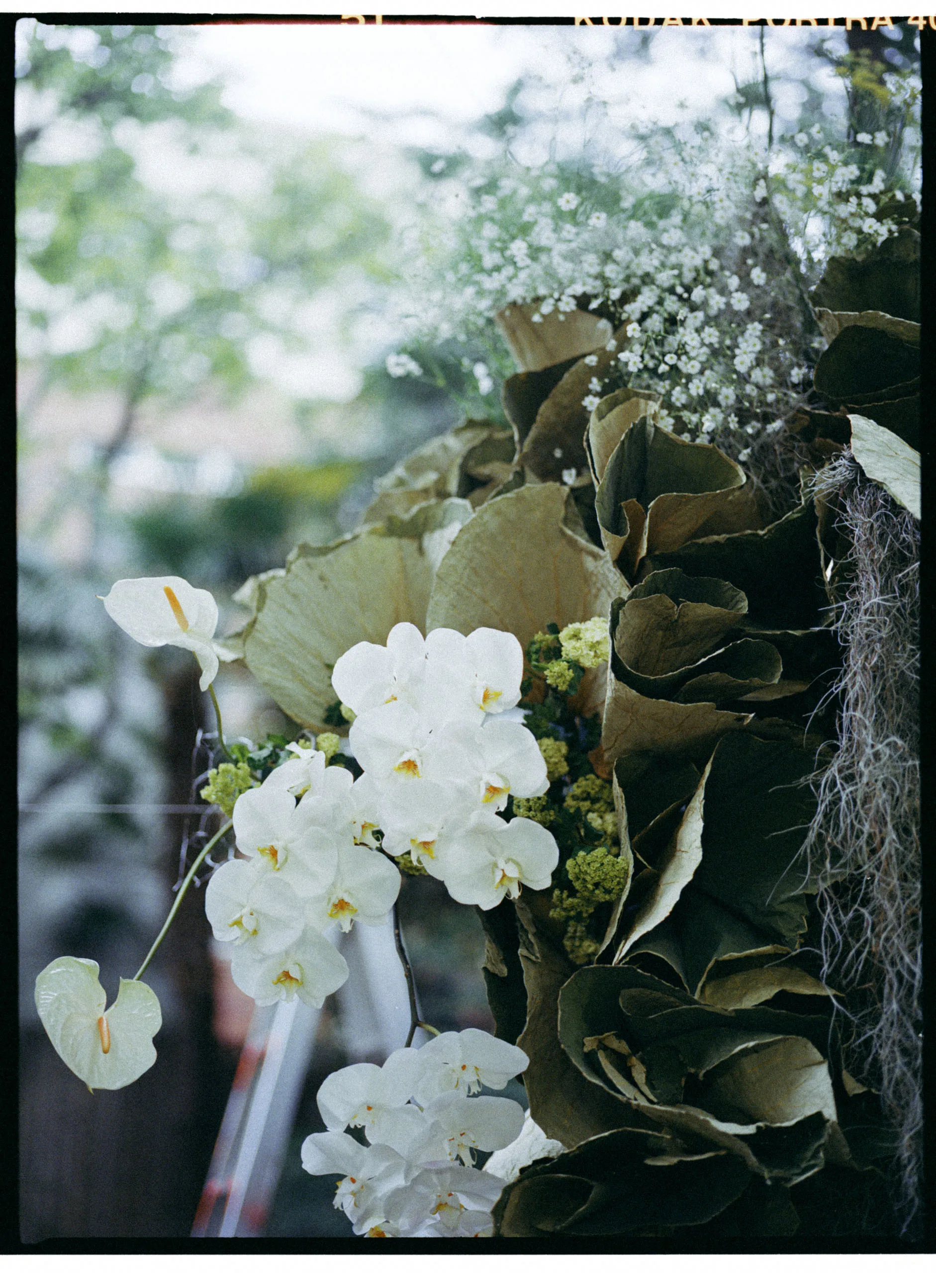 heping-31.jpg