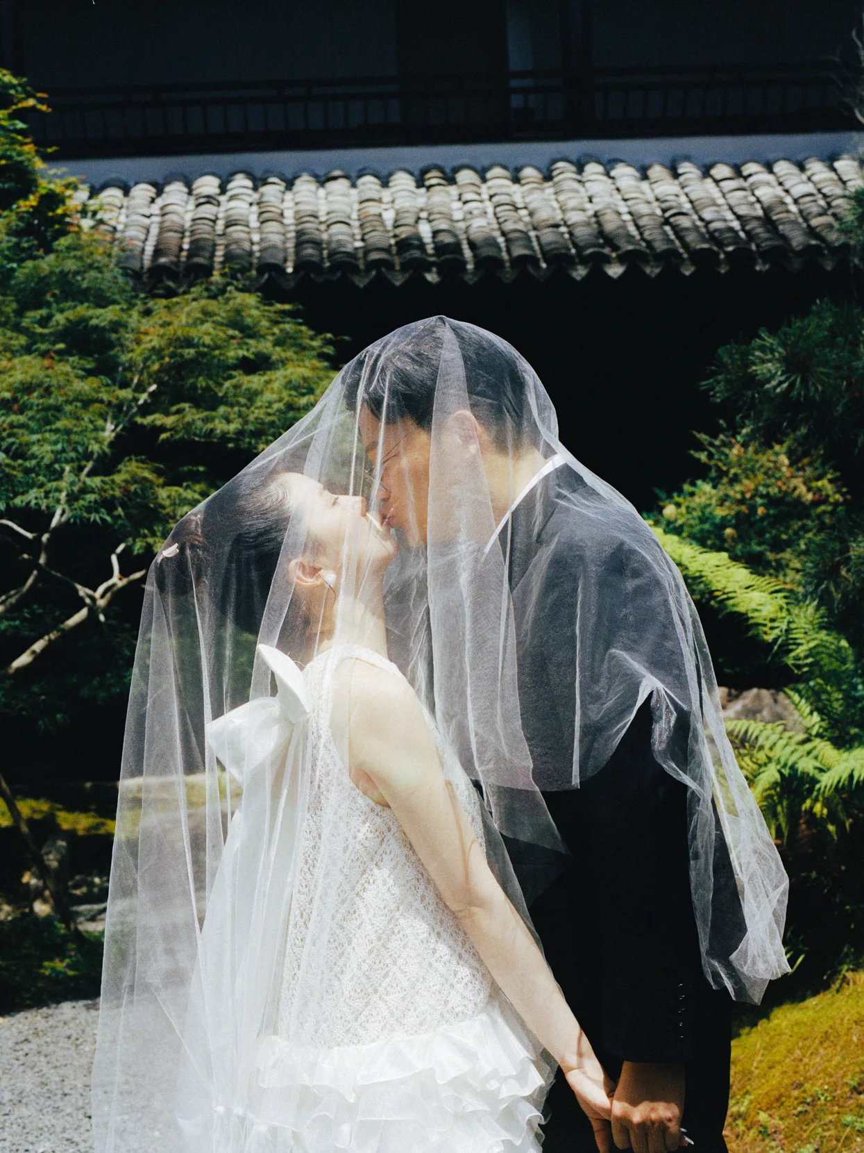 毛孩子的早晨9.jpg