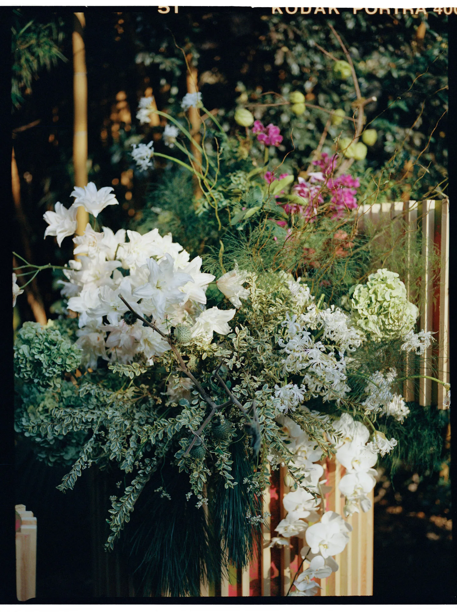 yongfuhui-83.jpg